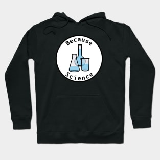 Beaker and Flasks Circle Because Science Hoodie